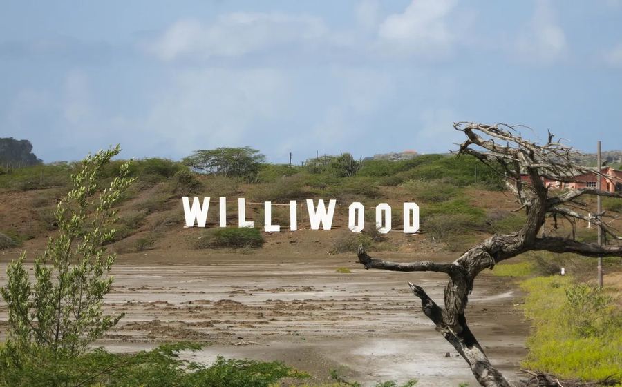 The Williwood sign overlooking the countryside near Curaçao's salt flats