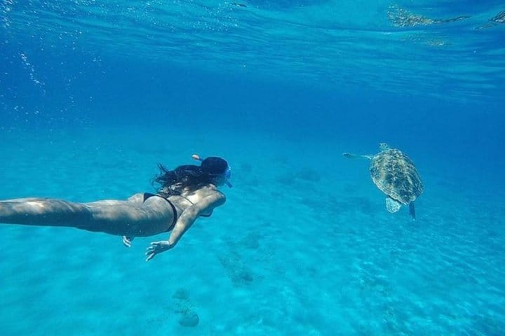 Curaçao Nature Lovers Tour photo 4