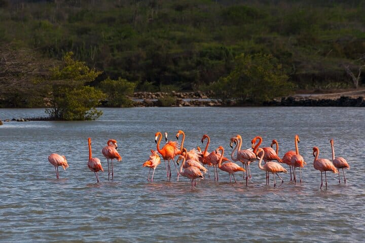 Tropical Paradise photo 2