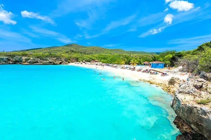 Tropical Paradise photo 3
